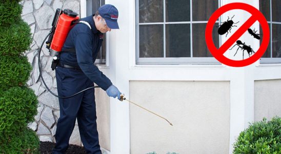 Eskişehir Böcek İlaçlama böcek ilaçlama ve haşere kontrolü — ilaclama-tr.com